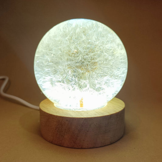 Resin lamps with dried white dandelions