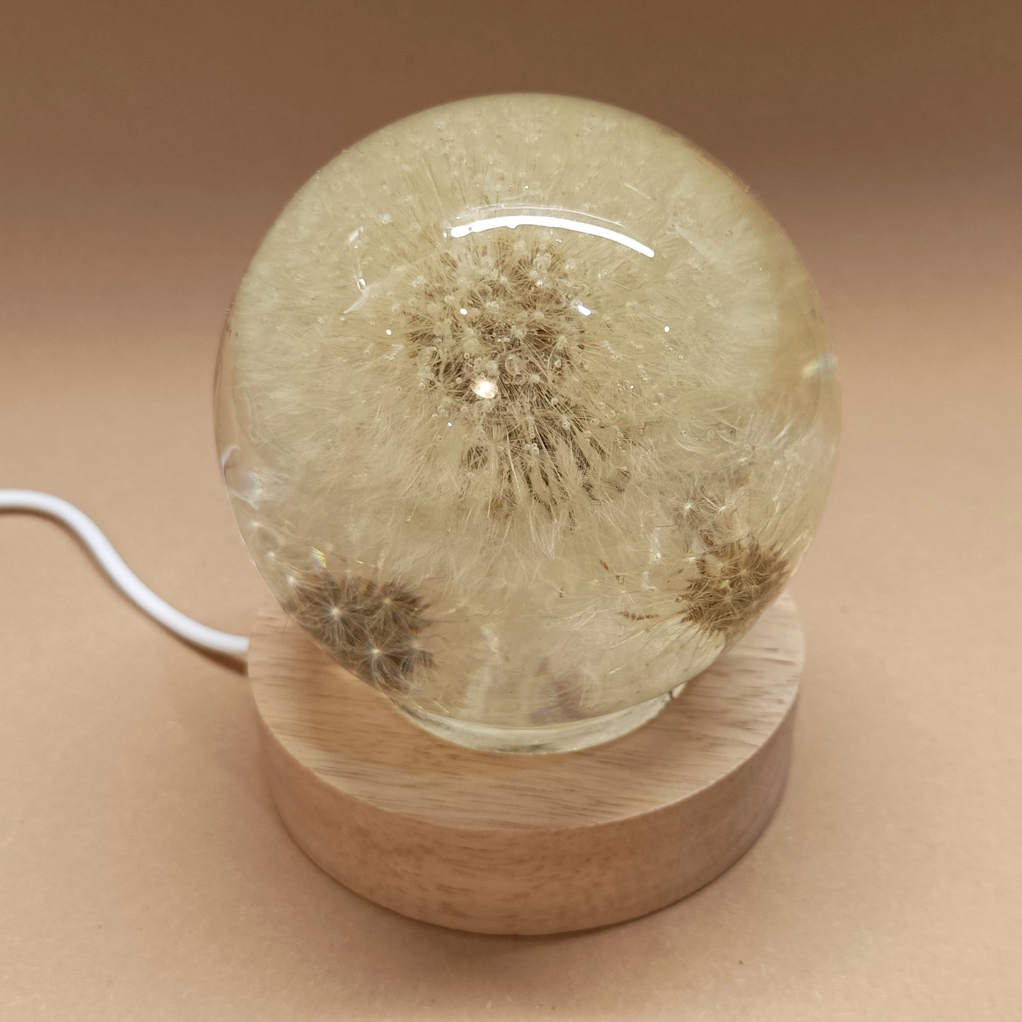 Resin lamps with dried white dandelions