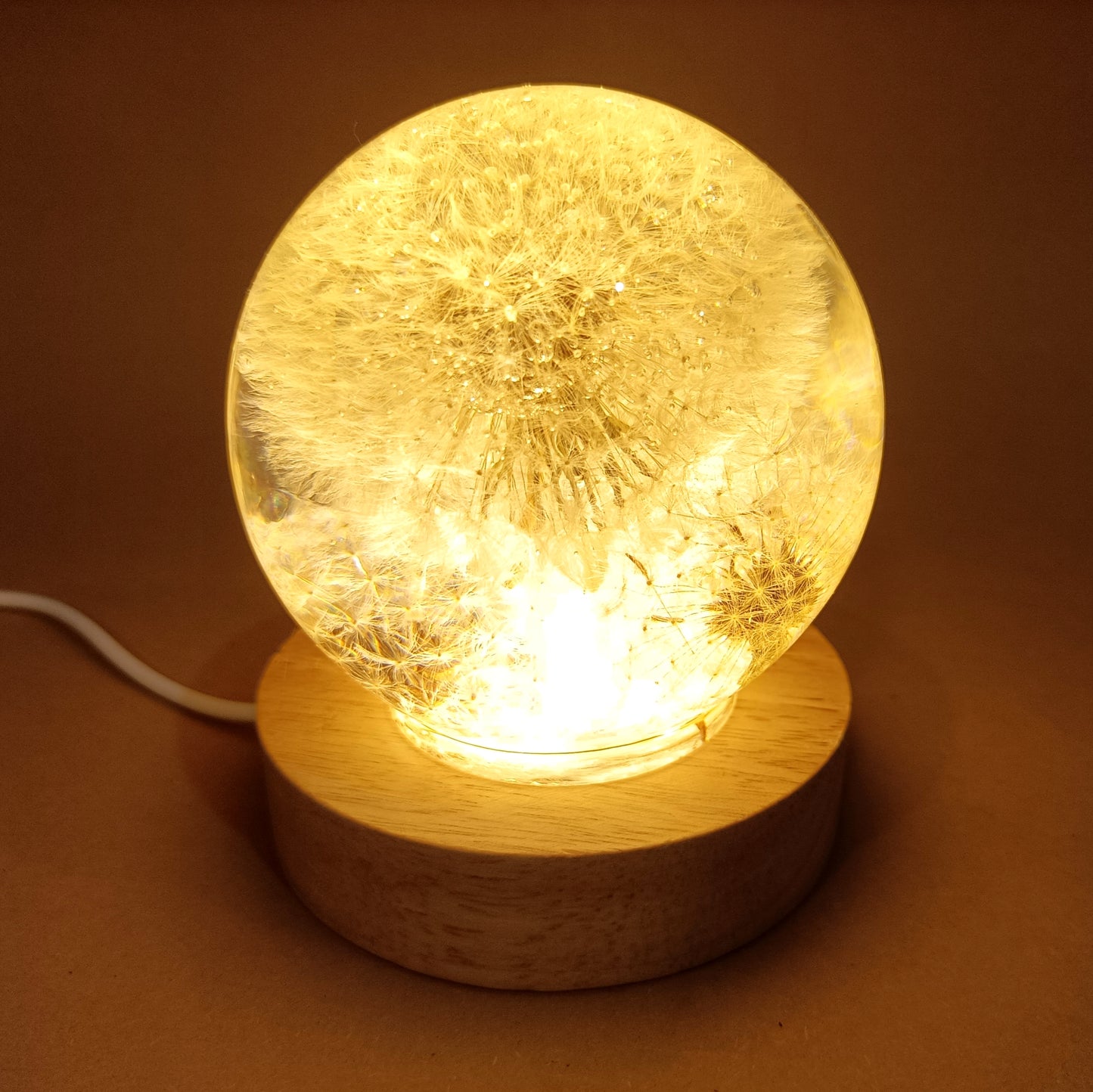 Resin lamps with dried white dandelions