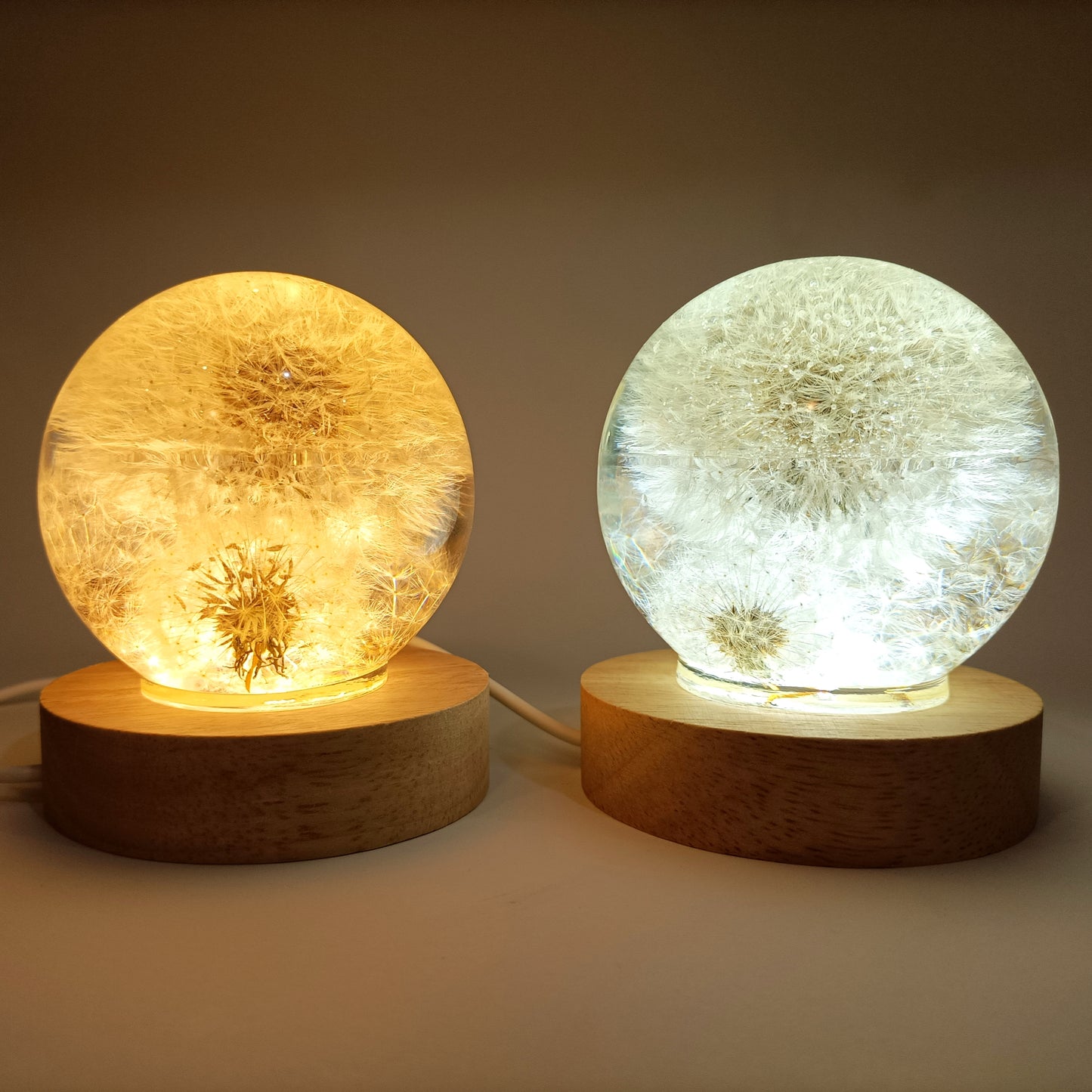 Resin lamps with dried white dandelions