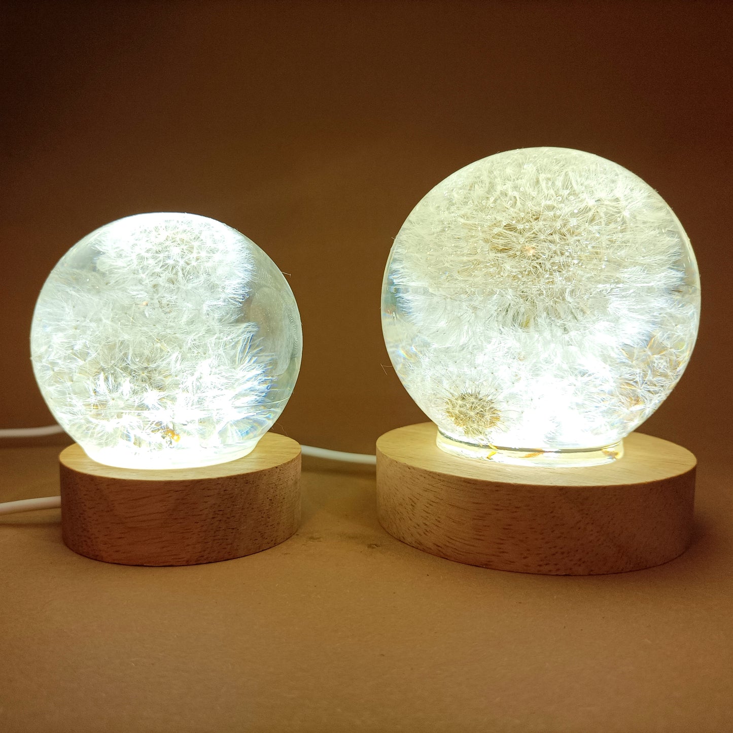 Resin lamps with dried white dandelions