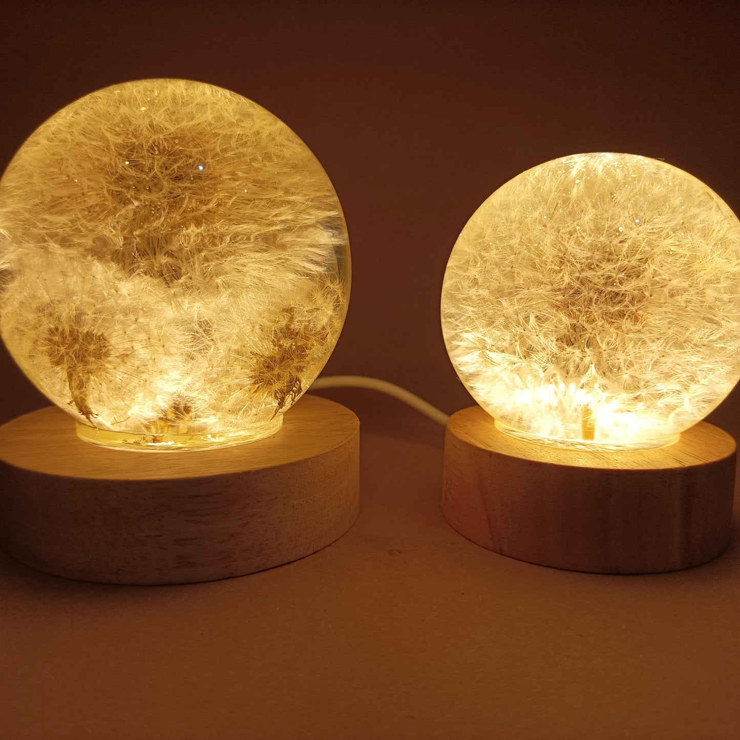 Resin lamps with dried white dandelions