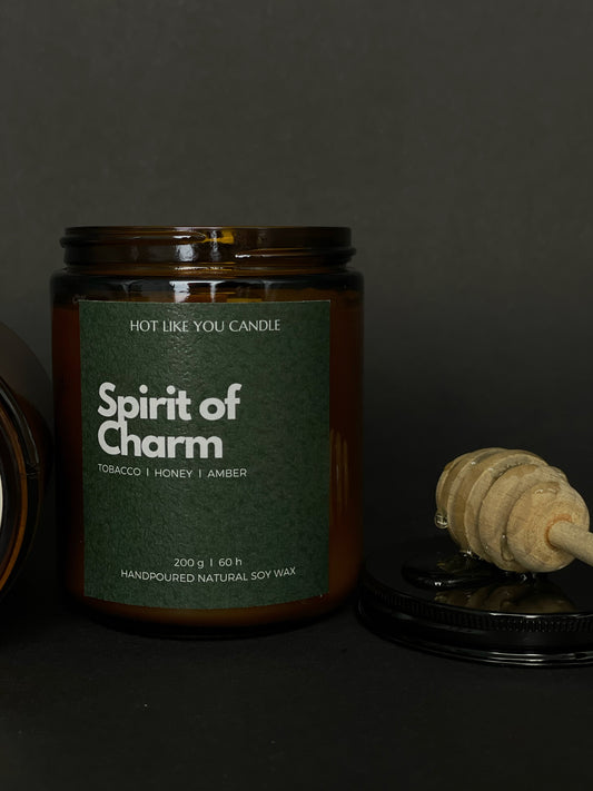 Spirit of Charm soy candle