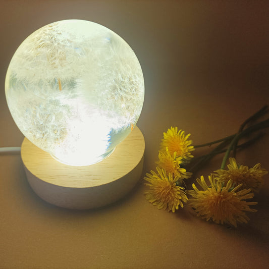 Resin lamps with dried white dandelions