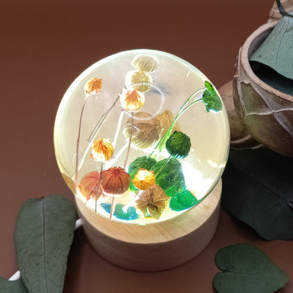 Ball resin lamp with dried flowers - Small